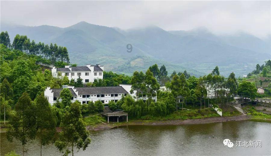 逃离泰莱森林